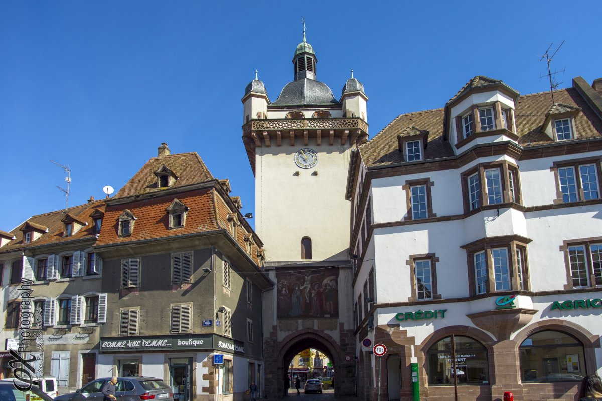 Présentation de Science on Stage en Alsace